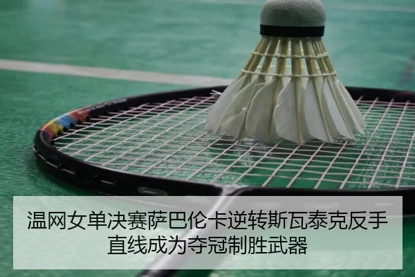 wen-wang-nv-dan-jue-sai-sa-ba-lun-ka-ni-zhuan-si-wa-tai-ke-fan-shou-zhi-xian-cheng-wei-duo-guan-zhi-sheng-wu-qi-3-997.jpg