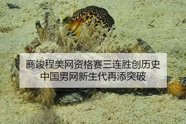 shang-jun-cheng-mei-wang-zi-ge-sai-san-lian-sheng-chuang-li-shi-zhong-guo-nan-wang-xin-sheng-dai-zai-tian-tu-po-2-264.jpg