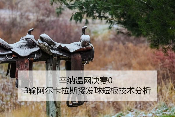 xin-na-wen-wang-jue-sai-shu-a-er-ka-la-si-jie-fa-qiu-duan-ban-ji-shu-fen-xi-2-677.jpg