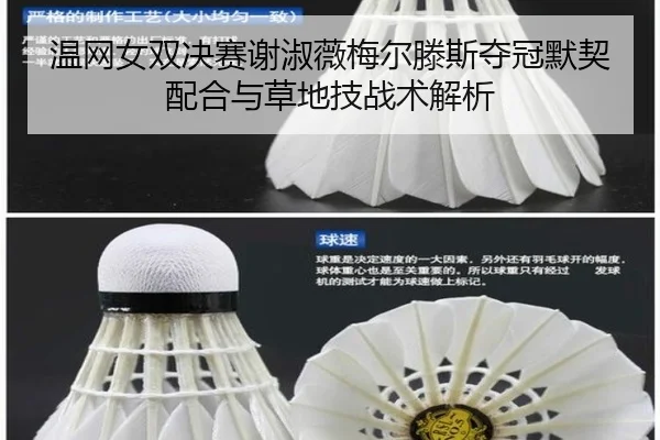 wen-wang-nv-shuang-jue-sai-xie-shu-wei-mei-er-teng-si-duo-guan-mo-qi-pei-he-yu-cao-di-ji-zhan-shu-jie-xi-2-667.jpg